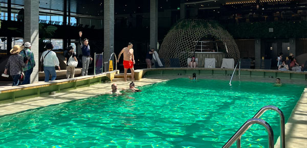 Recensione Botanic Garden la piscina coperta msc World Europa